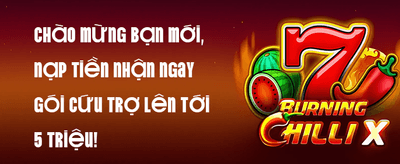 Hoàn Trả Casino Hàng Ngày